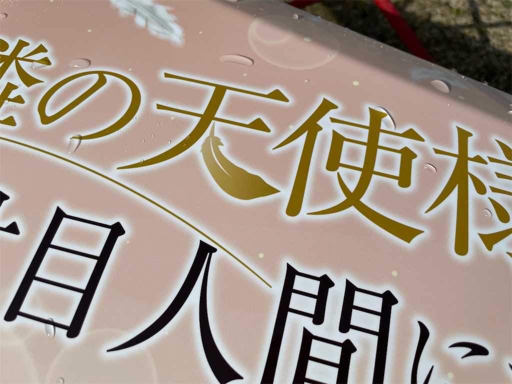 f:id:amekuressyu:20250419225506j:image