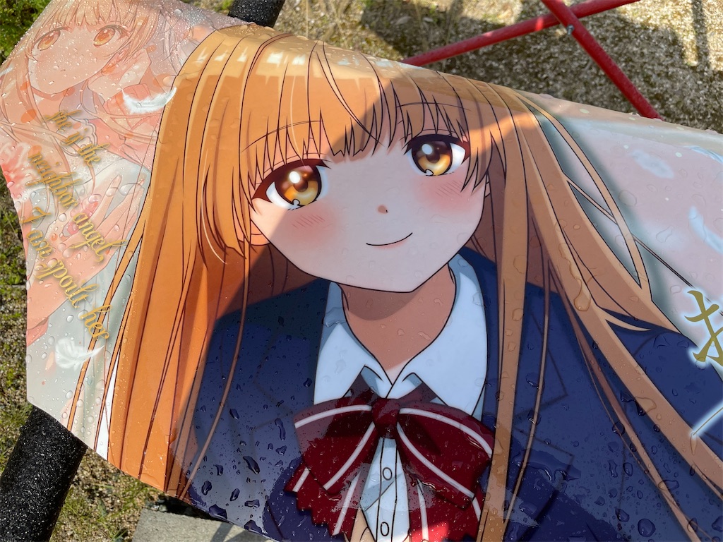 f:id:amekuressyu:20250419225533j:image