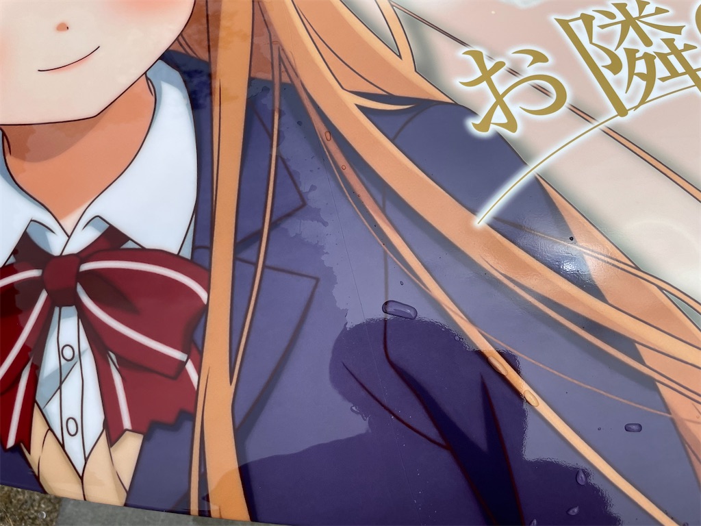 f:id:amekuressyu:20250511150218j:image