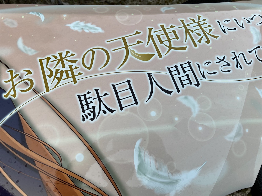 f:id:amekuressyu:20250522190739j:image