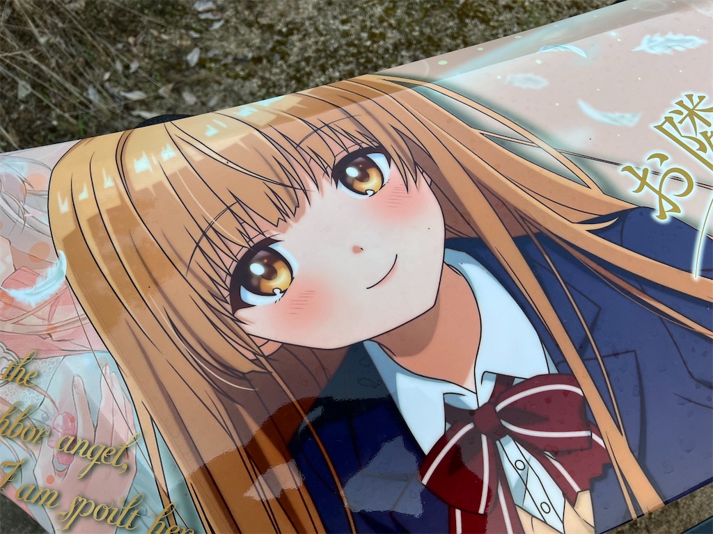f:id:amekuressyu:20250522190742j:image