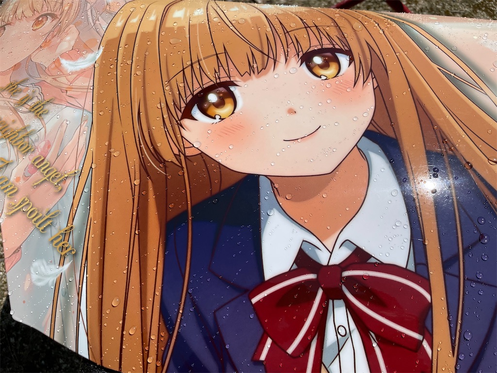 f:id:amekuressyu:20250527203750j:image