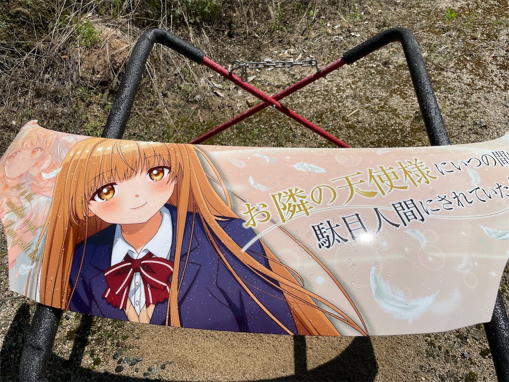 f:id:amekuressyu:20250527203802j:image