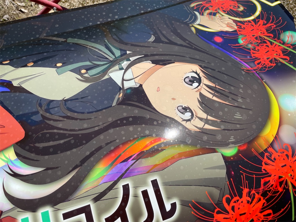 f:id:amekuressyu:20250528205229j:image