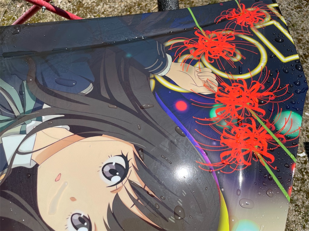 f:id:amekuressyu:20250528205334j:image
