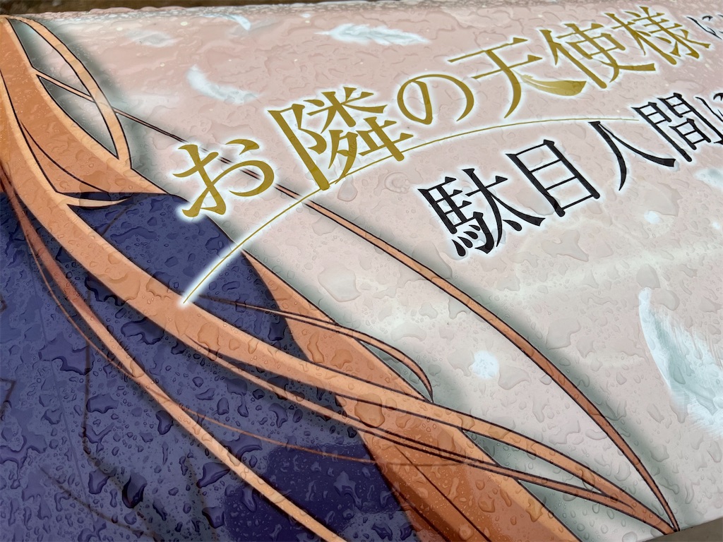 f:id:amekuressyu:20260228192819j:image