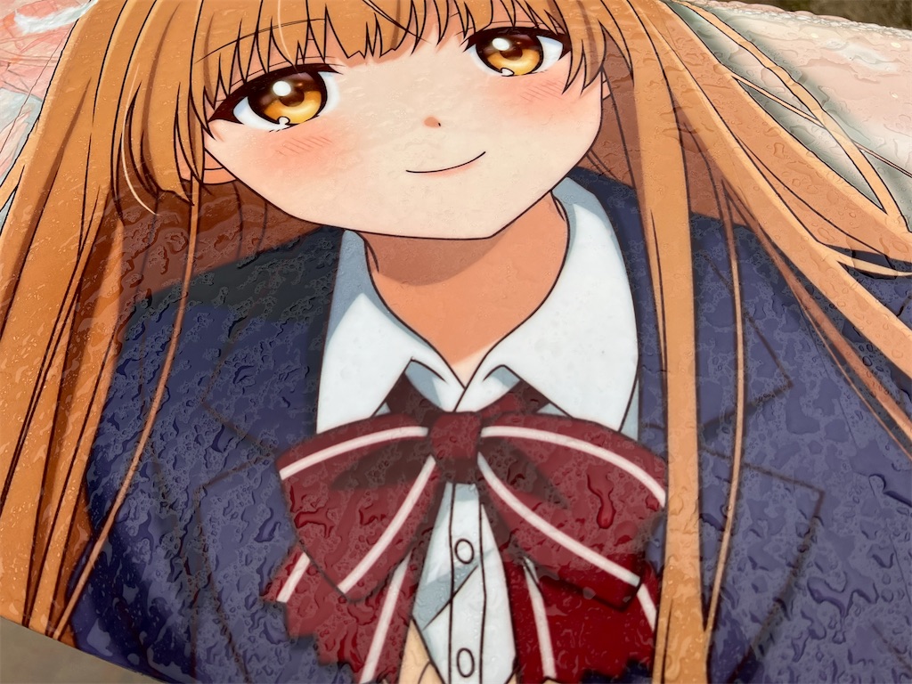f:id:amekuressyu:20260228192829j:image