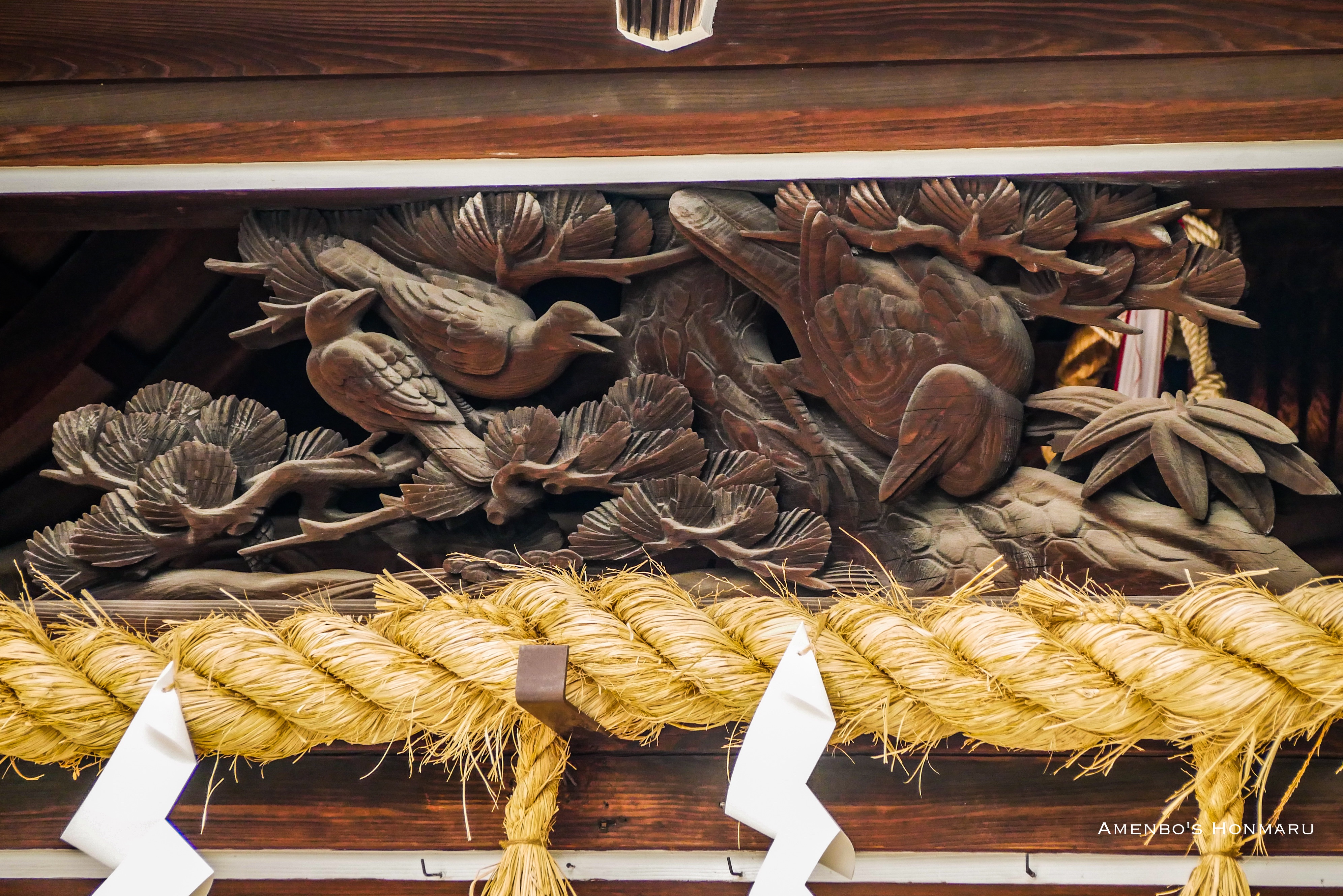 真夏の京都二泊三日の旅 ① 】京都で八咫烏を探しに行く【京都三熊野