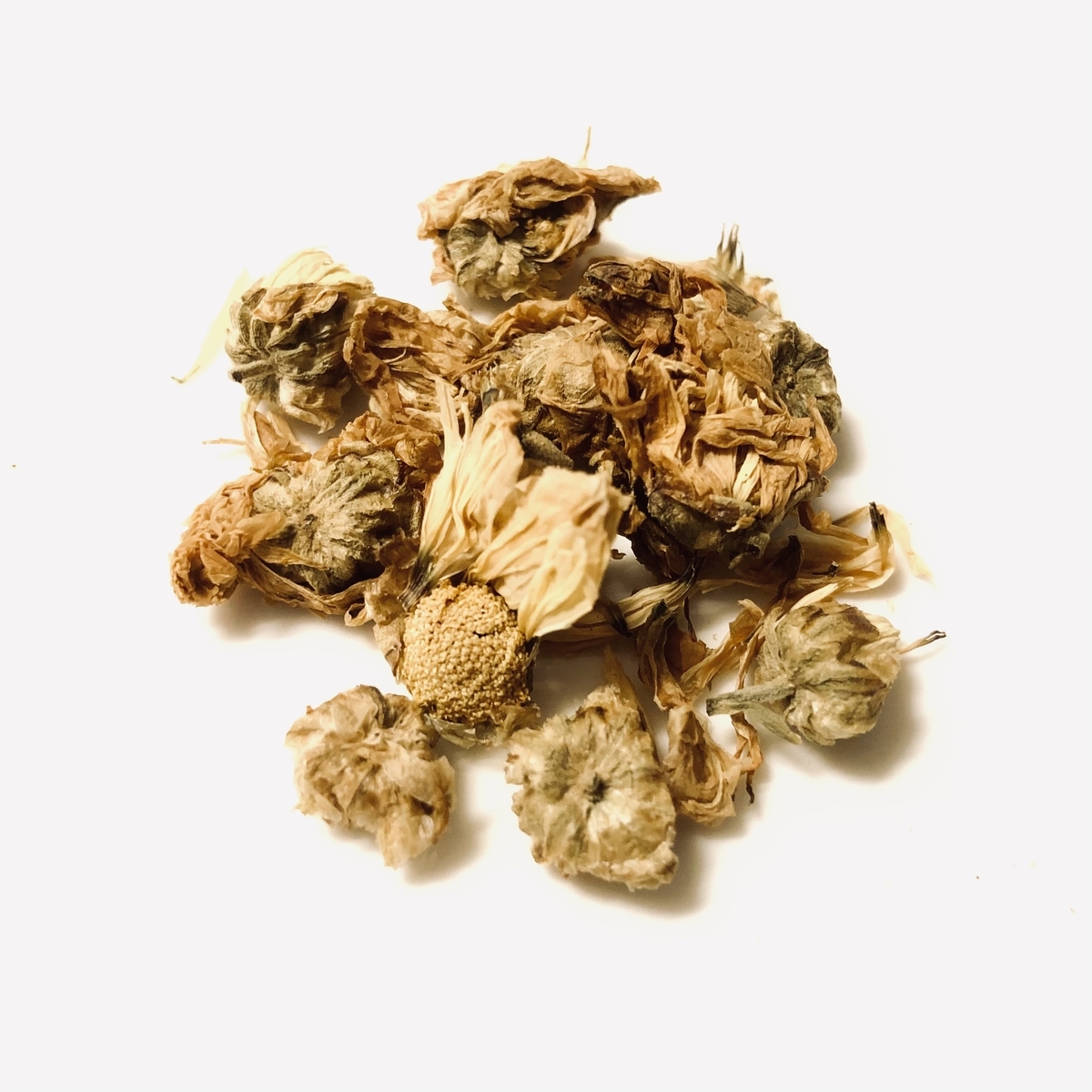 f:id:amemito:20211009060645j:plain