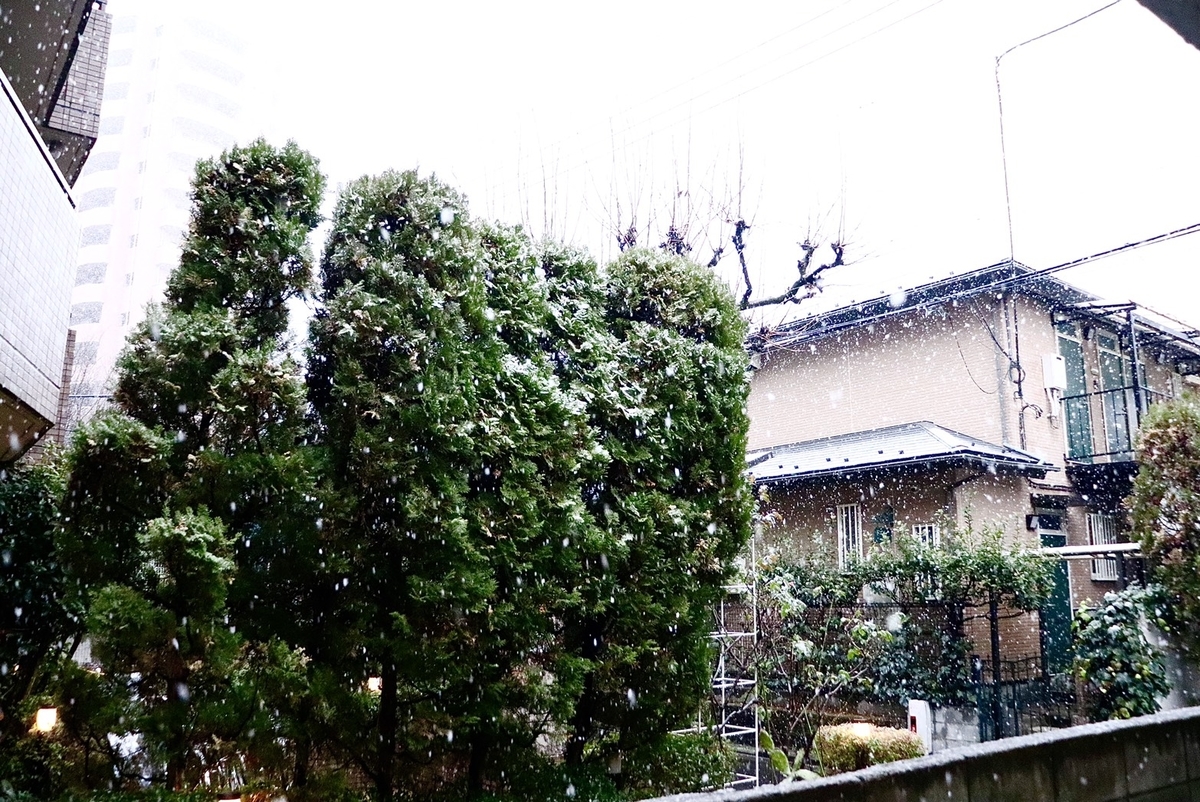 f:id:amenochihareruya:20210204232135j:plain