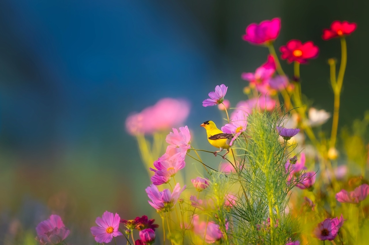 f:id:amenokagami:20190822212701j:plain f:id:amenokagami:20190822212701j:plain