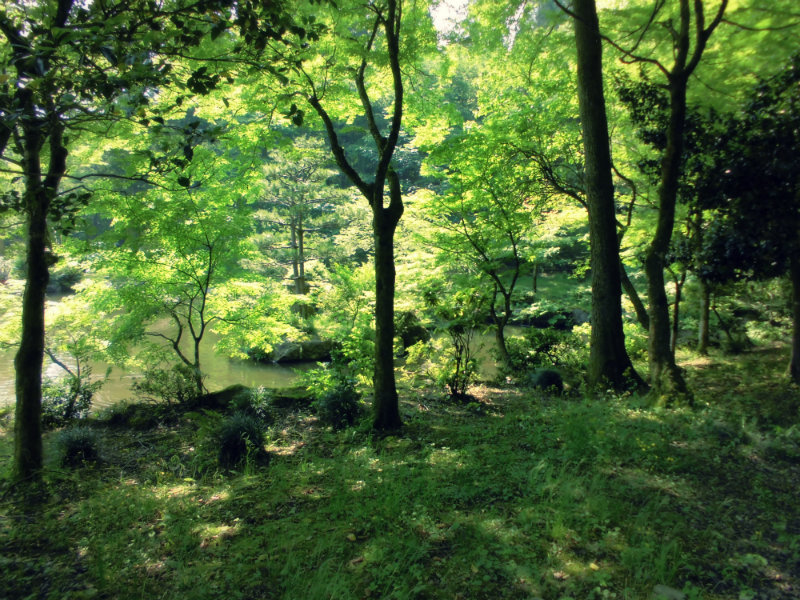 f:id:amenomorino:20160618204514j:plain f:id:amenomorino:20160618204514j:plain