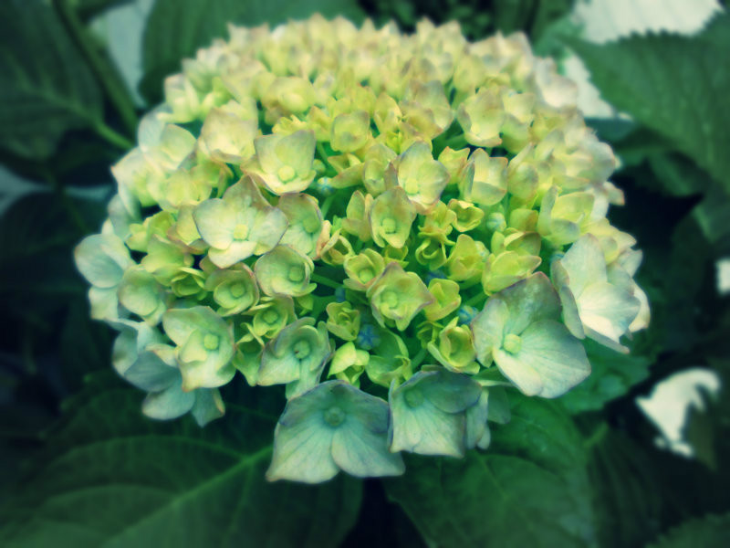 f:id:amenomorino:20160629213058j:plain f:id:amenomorino:20160629213058j:plain