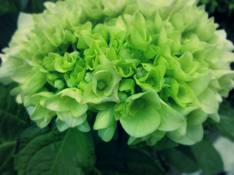 f:id:amenomorino:20160629213110j:plain f:id:amenomorino:20160629213110j:plain
