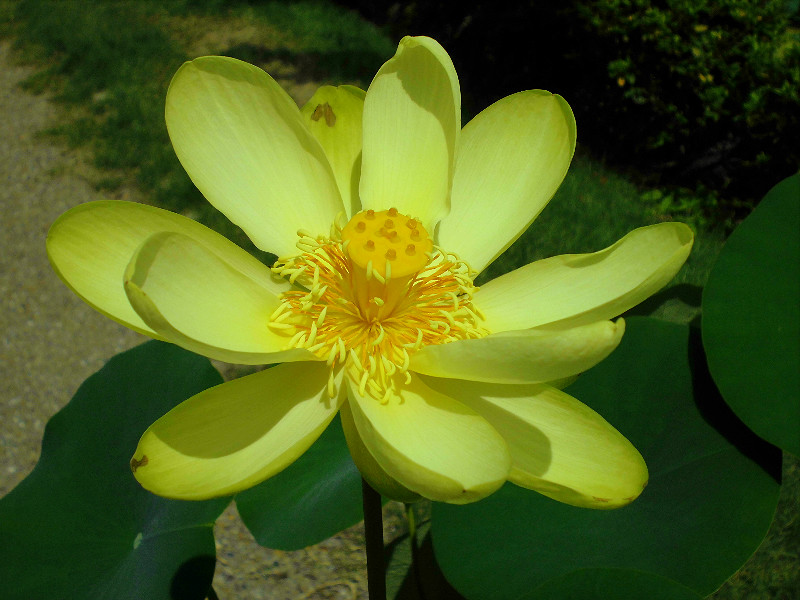 f:id:amenomorino:20170720183900j:plain f:id:amenomorino:20170720183900j:plain