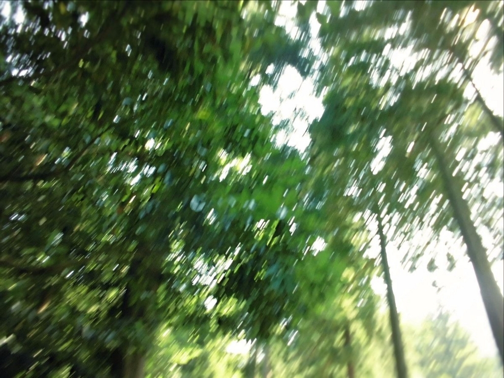 f:id:amenomorino:20170823183017j:plain f:id:amenomorino:20170823183017j:plain