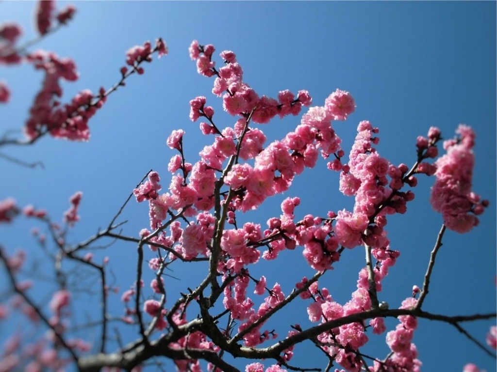 f:id:amenomorino:20180519083439j:plain f:id:amenomorino:20180519083439j:plain