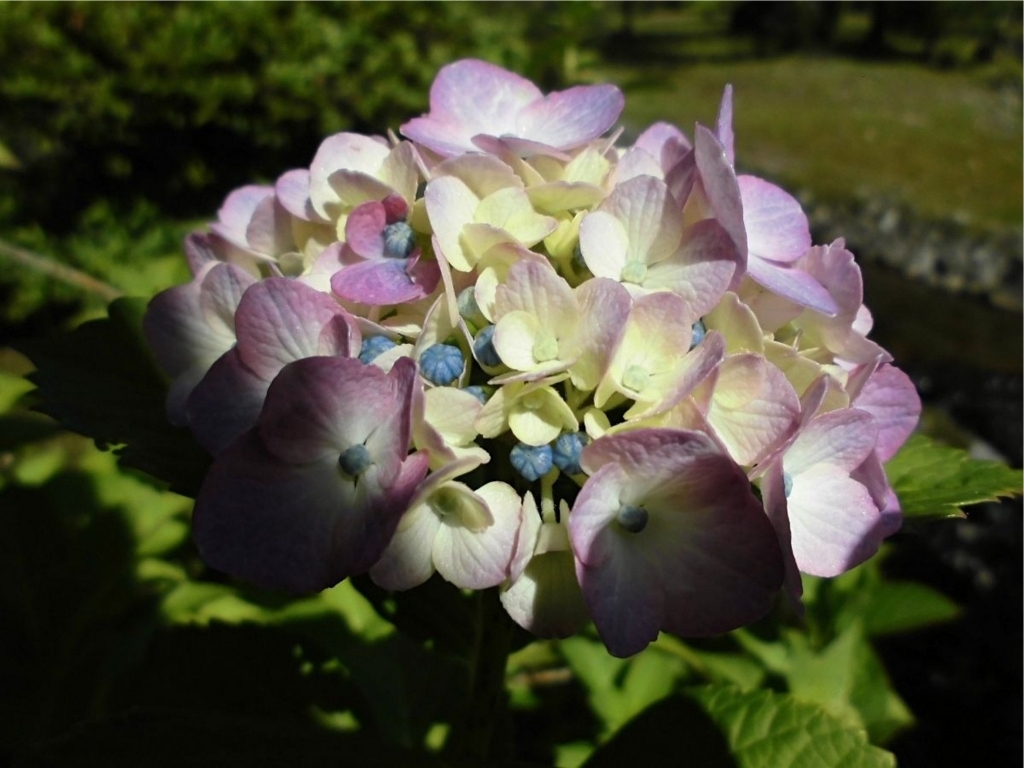 f:id:amenomorino:20180630211510j:plain f:id:amenomorino:20180630211510j:plain