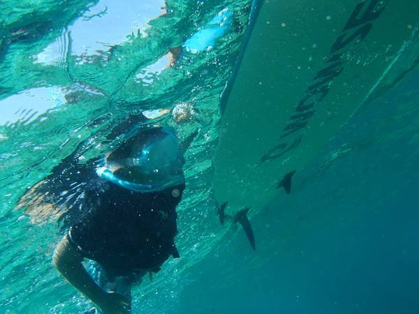 シュノーケリング水中から