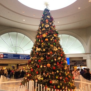 2014-12-20-07-08-54