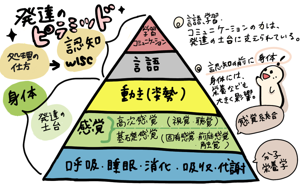 f:id:amerim:20220903230808p:image
