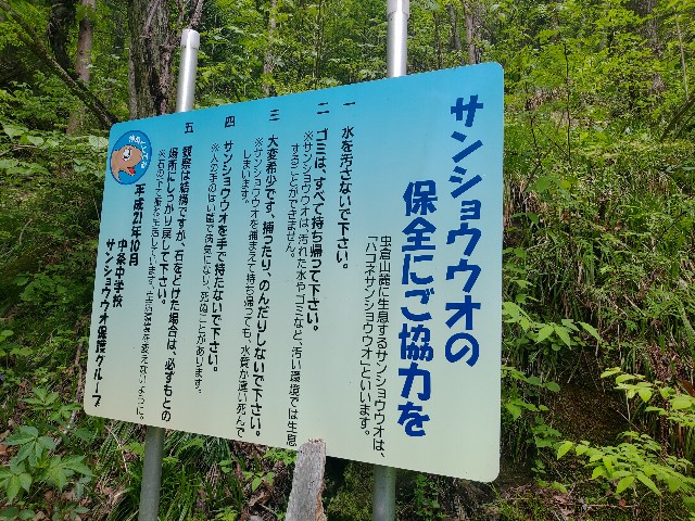 f:id:amesakana:20200704120518j:image