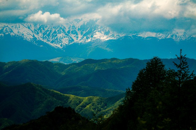 f:id:amesakana:20200704122634j:image