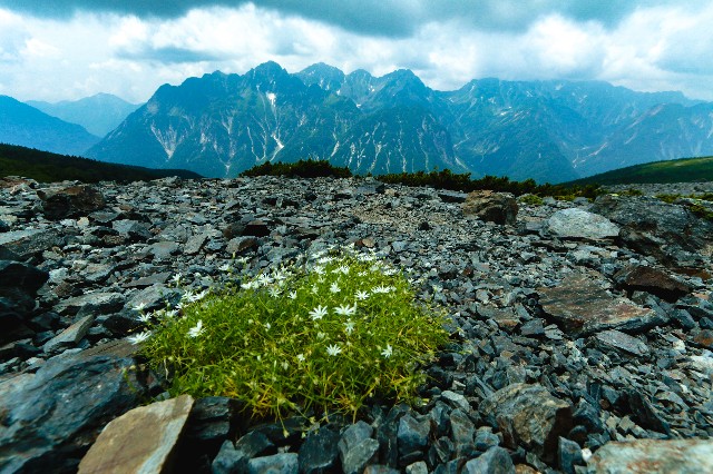 f:id:amesakana:20200809124130j:plain