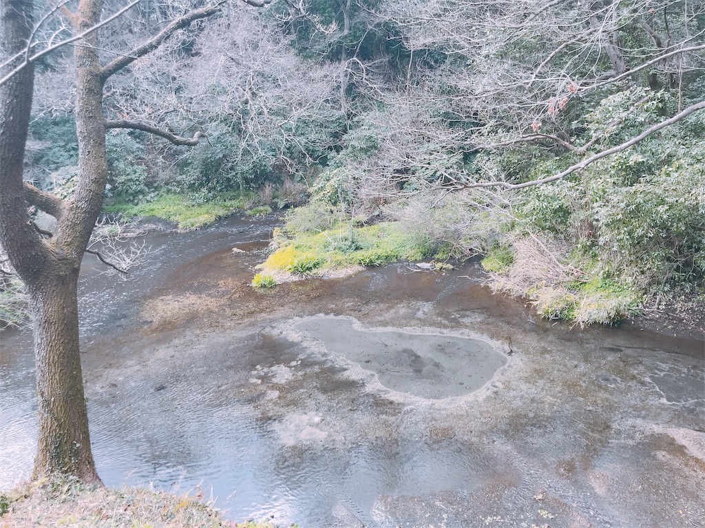 f:id:amesan50m:20190302140715j:image