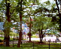 円山動物園