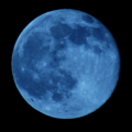 [月]BLUE MOON