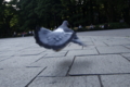 [鳥]takeoff