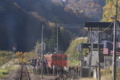 [鉄道][駅]