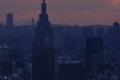 [夕景]