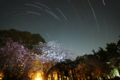 [星][桜]春の夜空