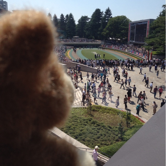 f:id:ametama-radio:20140601141856j:plain f:id:ametama-radio:20140601141856j:plain