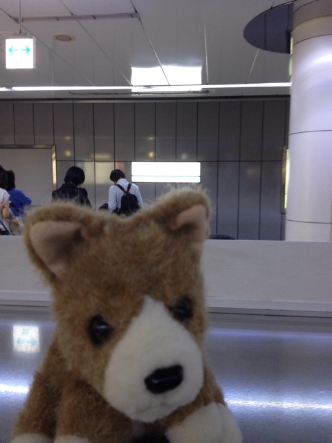 f:id:ametama-radio:20140630125110j:plain f:id:ametama-radio:20140630125110j:plain