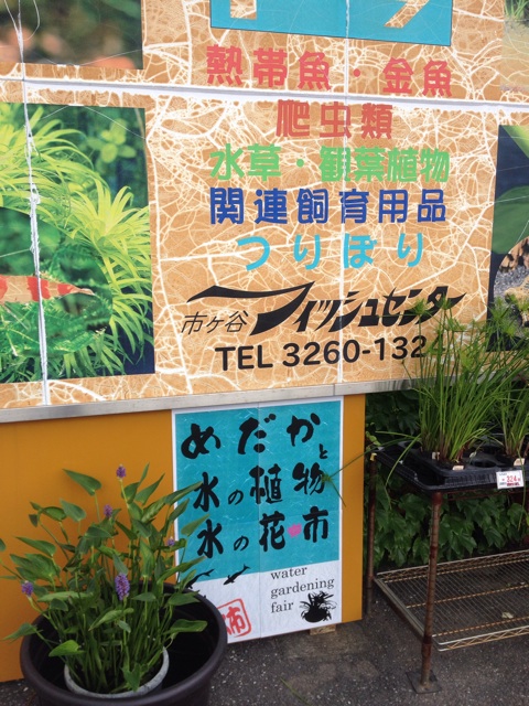 f:id:ametama-radio:20140707122522j:plain f:id:ametama-radio:20140707122522j:plain