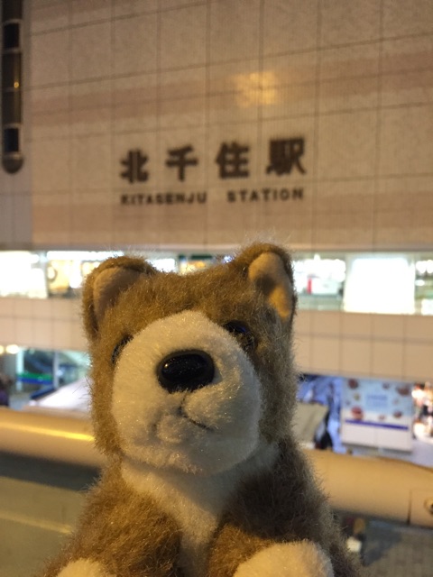 f:id:ametama-radio:20141230223058j:plain f:id:ametama-radio:20141230223058j:plain