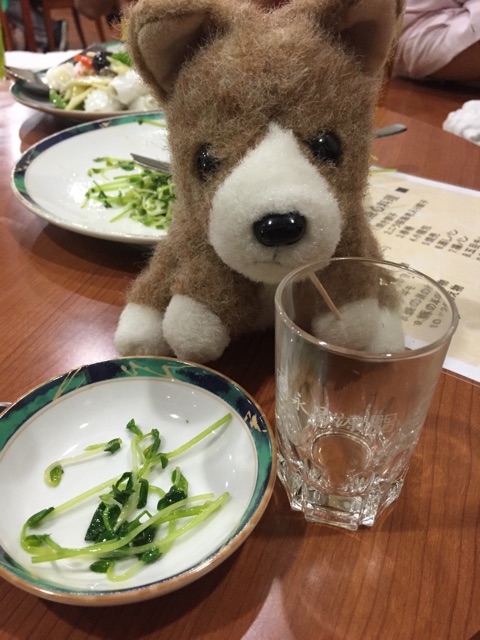 f:id:ametama-radio:20150215210435j:plain f:id:ametama-radio:20150215210435j:plain