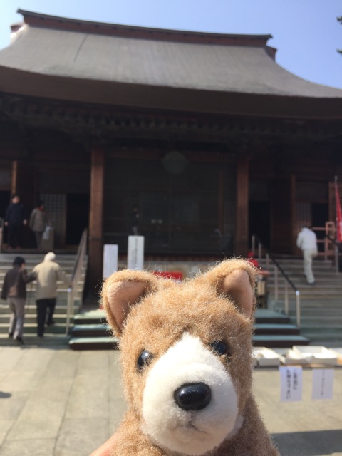 f:id:ametama-radio:20150315222313j:plain f:id:ametama-radio:20150315222313j:plain