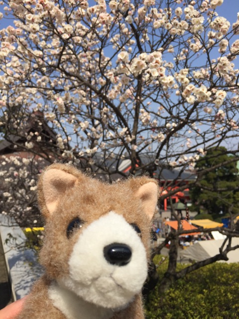 f:id:ametama-radio:20150315222339j:plain f:id:ametama-radio:20150315222339j:plain