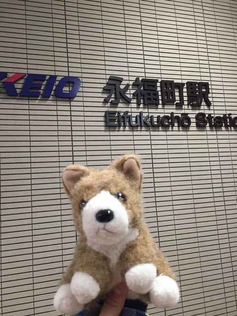 f:id:ametama-radio:20150315222915j:plain f:id:ametama-radio:20150315222915j:plain