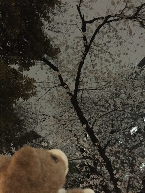 f:id:ametama-radio:20150329230100j:plain f:id:ametama-radio:20150329230100j:plain