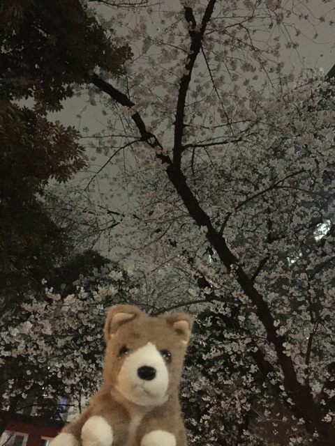 f:id:ametama-radio:20150329230135j:plain f:id:ametama-radio:20150329230135j:plain