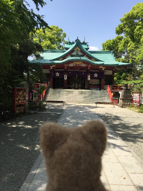 f:id:ametama-radio:20150502160858j:image f:id:ametama-radio:20150502160858j:image