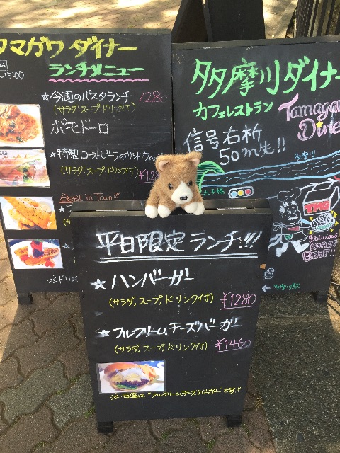 f:id:ametama-radio:20150502161204j:image f:id:ametama-radio:20150502161204j:image