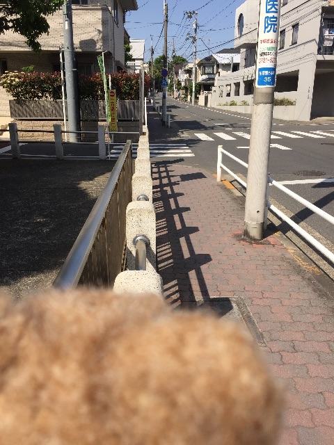 f:id:ametama-radio:20150502161452j:image f:id:ametama-radio:20150502161452j:image