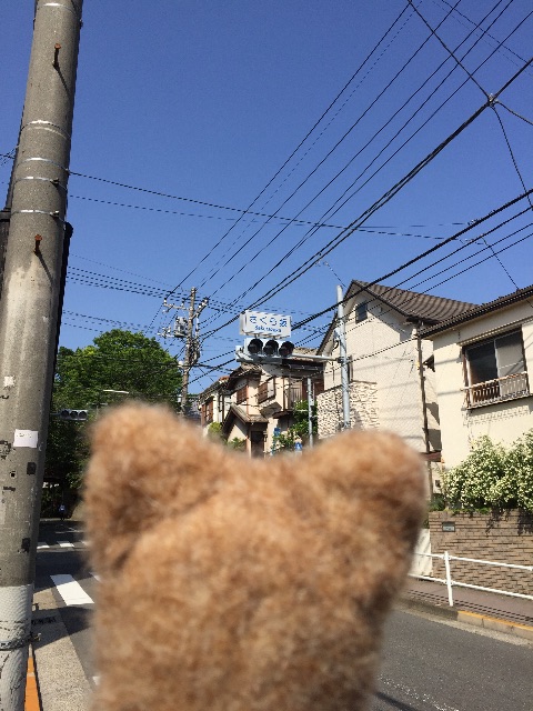 f:id:ametama-radio:20150502161507j:image f:id:ametama-radio:20150502161507j:image