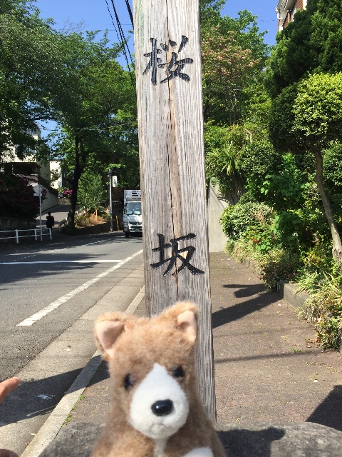 f:id:ametama-radio:20150502161518j:image f:id:ametama-radio:20150502161518j:image